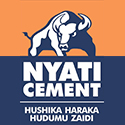 Lake Cement Limited